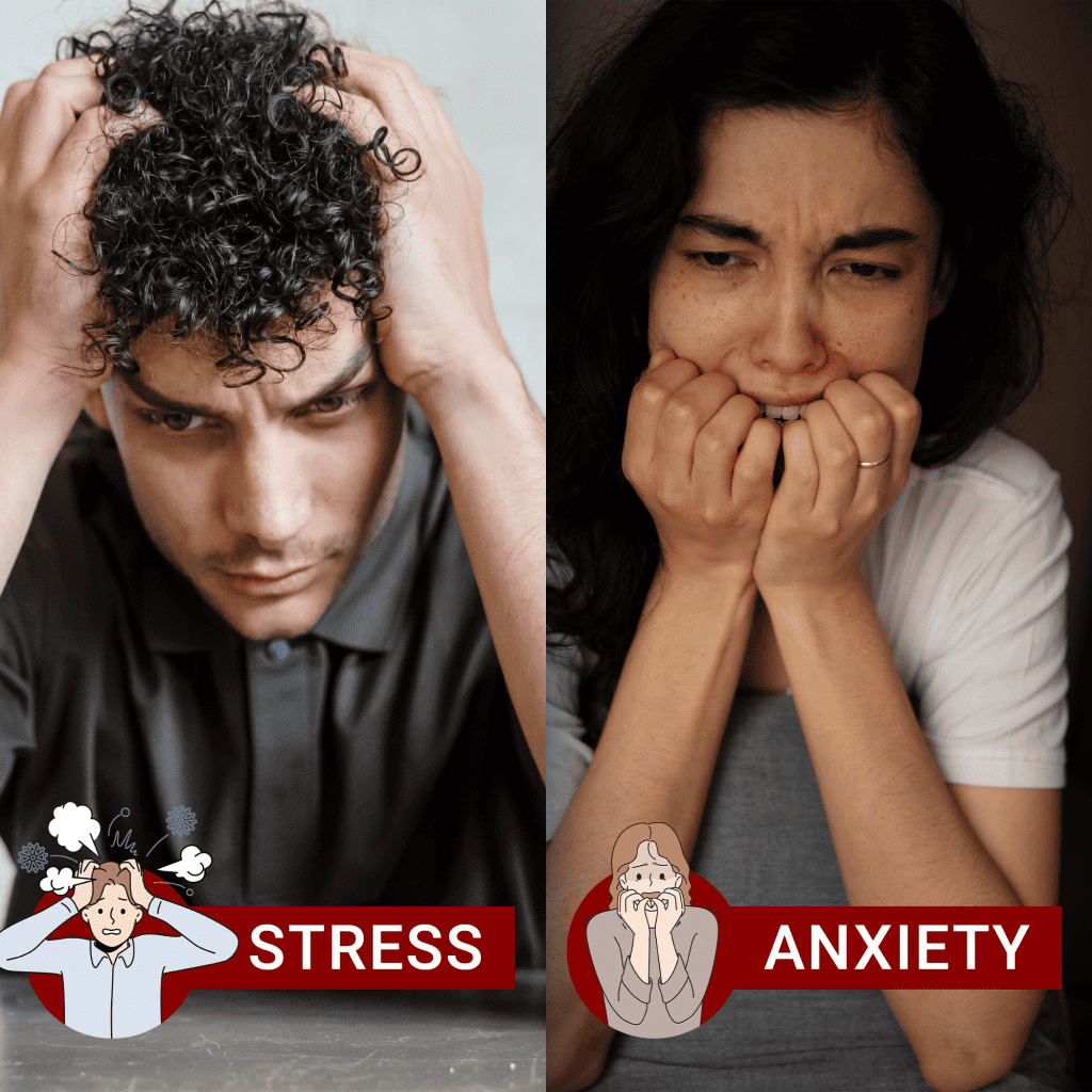 Stress and Mental Health