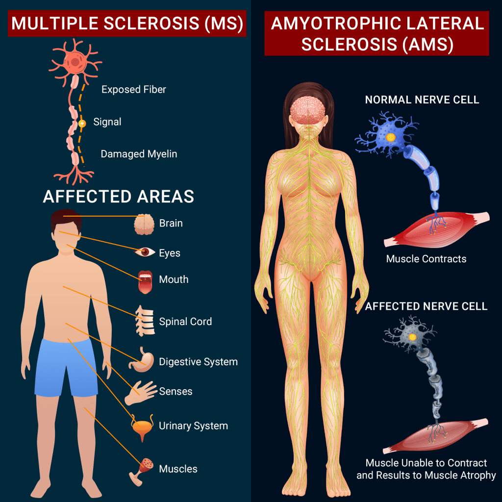 Brain and Muscle Coordination Disorders